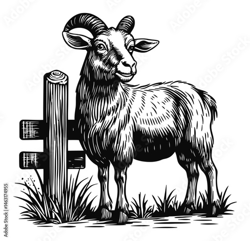 Detailed Engraving of a Goat Next to a Wooden Fence Post