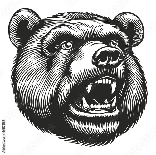 Detailed Engraving of a Bear Head with Fierce Expression
