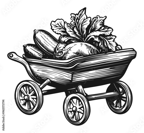 Detailed Engraving of a Wheelbarrow Filled with Fresh Vegetables