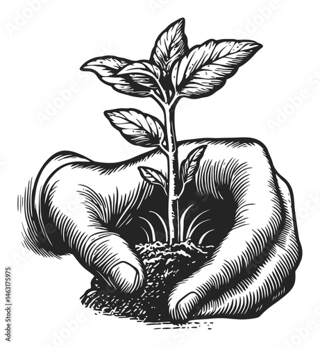 Hand Holding Young Plant in Engraving Style Illustration