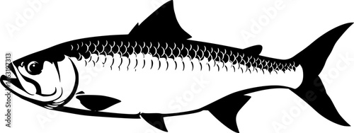 set of tarpon fish, vector illustration, flat style, side
