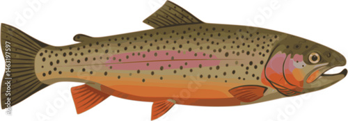 set of tarpon fish, vector illustration, flat style, side
