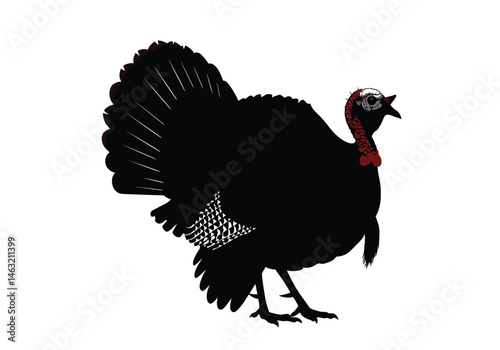 Wild turkey silhouette. This image showcases a black silhouette of a wild turkey, a large bird known for its distinctive feathered appearance and natural habitat. Vector clipart illustration design.