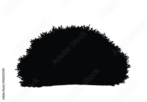 Bush silhouette. This image showcases a black silhouette of a bush, a natural plant with dense foliage often found in gardens and landscapes. Vector clipart illustration design.