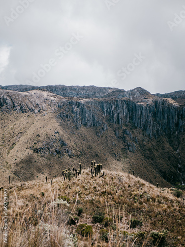 view of the mountains