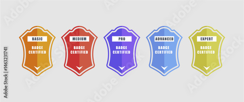 Showcase your learners' progress with these sleek, professional badge designs! This 5-level badge set (Basic to Expert) is perfect for online courses, training platforms, educational apps, or any .