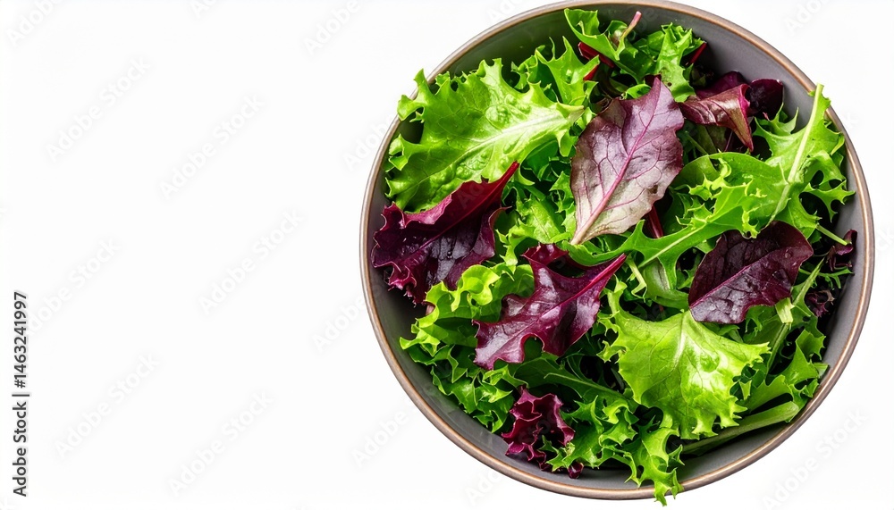 Vibrant Vegan Salad Bowl with Fresh Greens Isolated Background Vibrant Vegan Salad Bowl with Fresh Greens Isolated Background