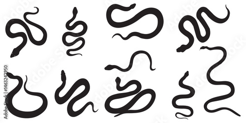 Snake icon, logo isolated on white background.
