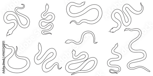 Snake icon, logo isolated on white background.