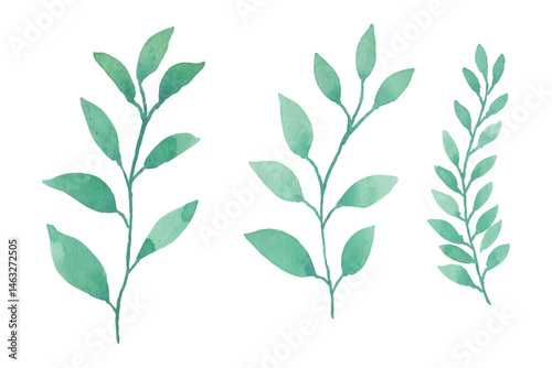 Watercolor leaves illustration set - green leaf branches collection for wedding, greetings, stationary, wallpapers, fashion, background. olive, green leaves, Eucalyptus etc