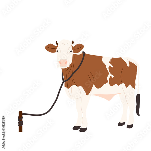 cow and calf
