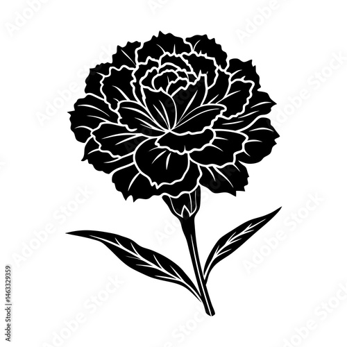 Silhouette of a carnation flower isolated on white or PNG transparent