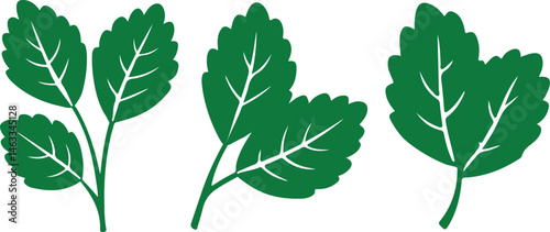 Set of green leaf clipart icon vector on white background.