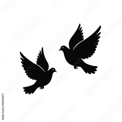Silhouette of two black pigeons flying isolated on a clean white background perfect for designs