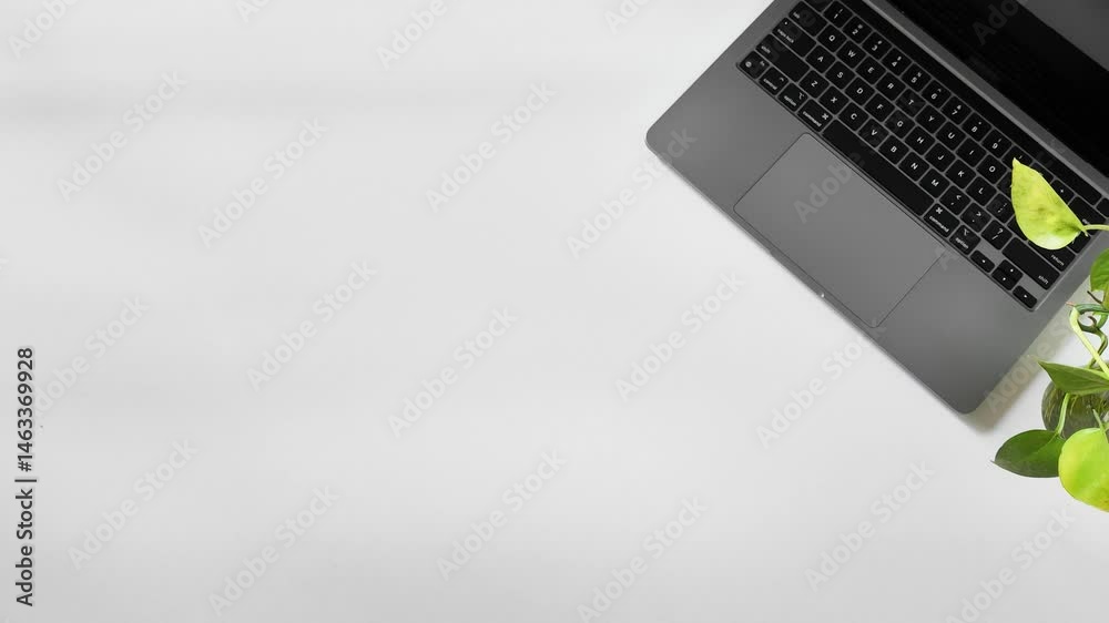 Top view of a laptop and a plant on the right side of a white table. Working in a office. Working remotely