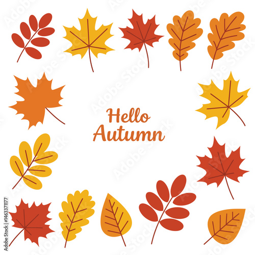 Hello Autumn: Celebrating Fall Colors
