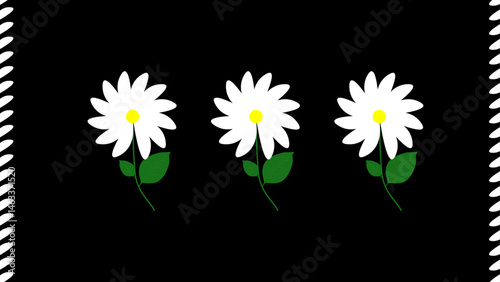 Hand Drawn Daisy Flower Illustration – Botanical Sketch Isolated on Black Background