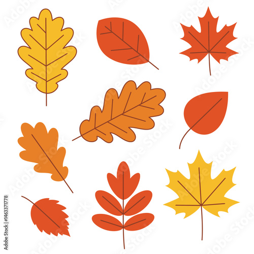 Hello Autumn: Celebrating Fall Colors