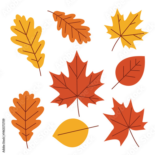 Hello Autumn: Celebrating Fall Colors