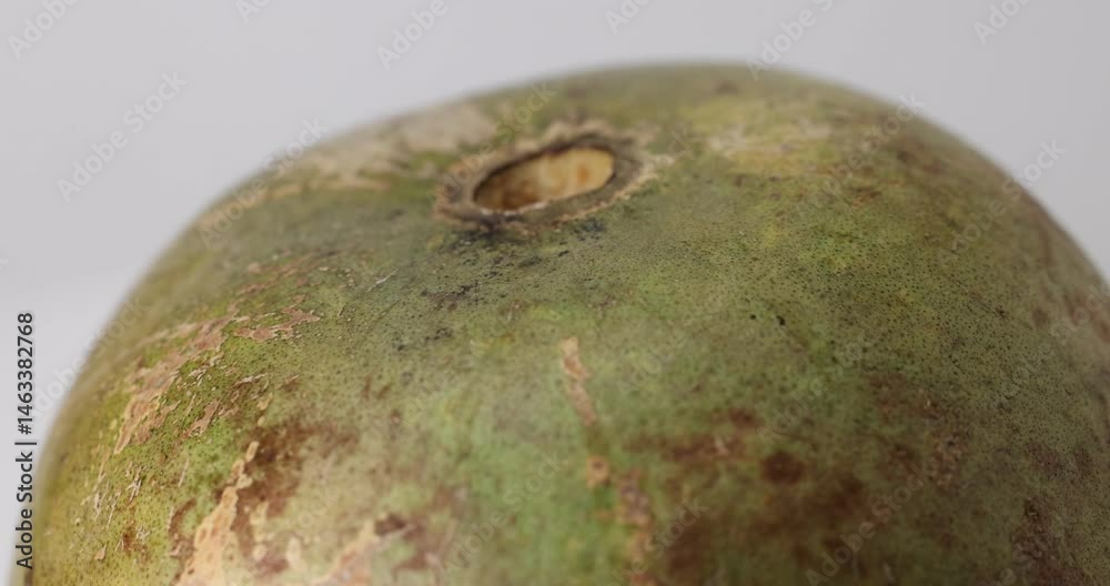 Southeast Asa wood apple bael fruit Limonia acidissima hard shell half inside flesh made juice drink ingredients 