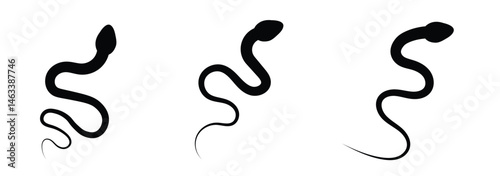 Snake Silhouette . snake silhouette in black.