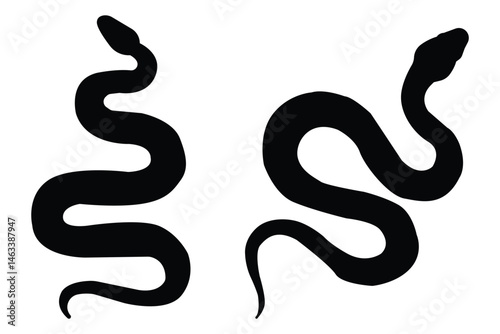 Snake Silhouette . snake silhouette in black.