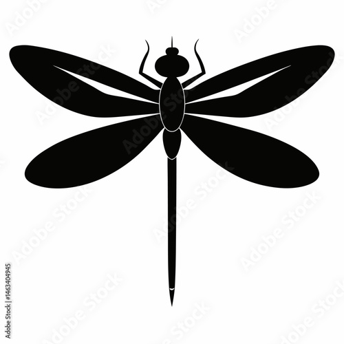 dragonfly on white background