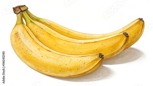 Watercolor Bunch of Bananas Three Ripe Bananas in Curving Composition, Fruit Still Life, Yellow, Tropical, food illustration Banana, watercolor