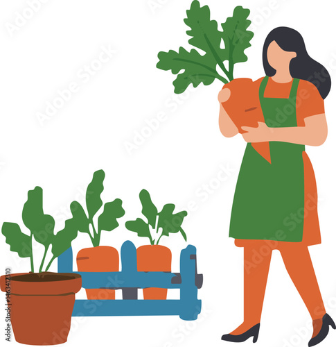 A woman wearing an apron holds a freshly picked carrot from her garden This image is ideal for illustrating gardening and healthy eating.