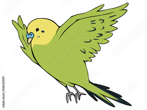 色とりどり セキセイインコ イエロー 飛ぶ