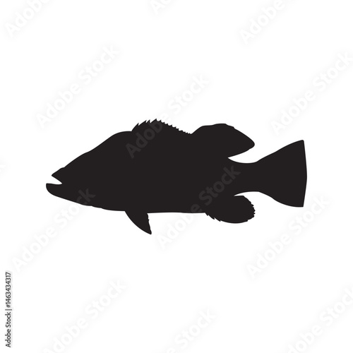 Peacock bass fish silhouette