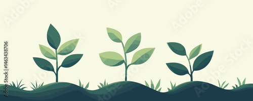 Three young plants growing in a row against light background.