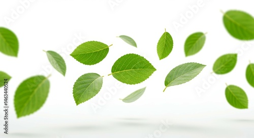 Floating Fresh Green Leaves on White Background for Spring Designs
