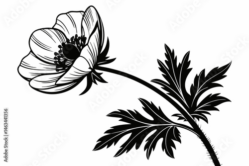 anemone icon set sihouette black vector bundle