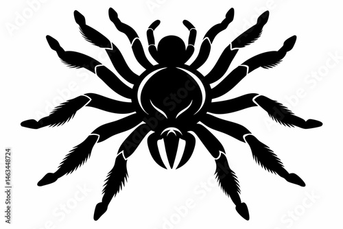 tarantula sihouette black vector
