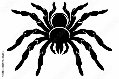 tarantula sihouette black vector