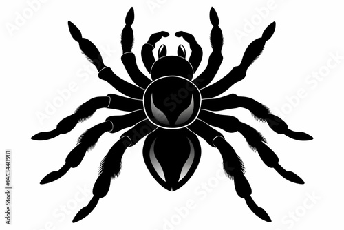 tarantula sihouette black vector