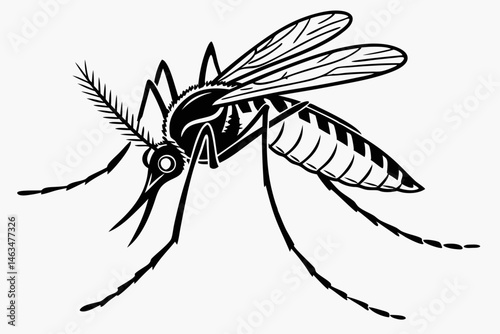 mosquito sihouette black vector