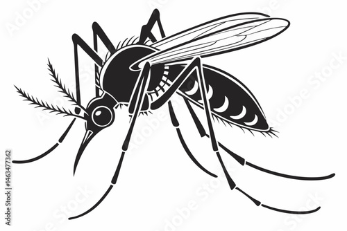 mosquito sihouette black vector