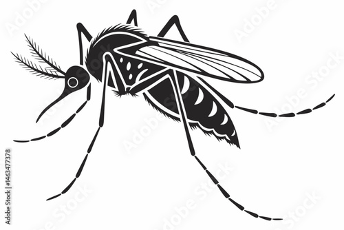 mosquito sihouette black vector