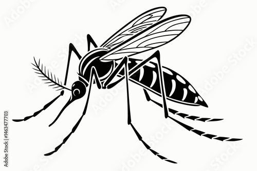 mosquito sihouette black vector
