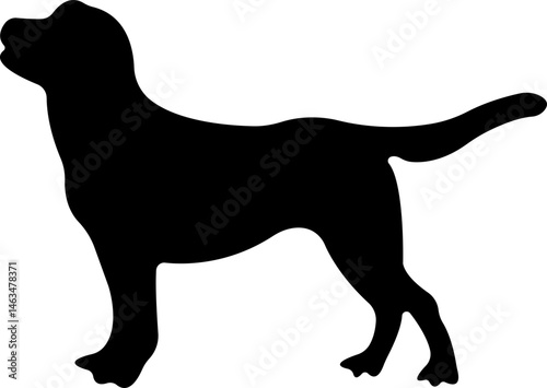 Dog icon in flat style. Pet, animal, tail, barking, purring, guard, isolated on transparent background