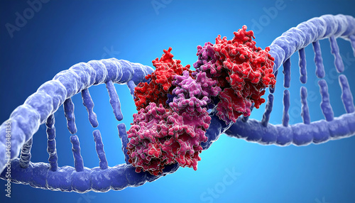 Protein-DNA Interaction: 3D Model of Transcription Factors Binding to DNA