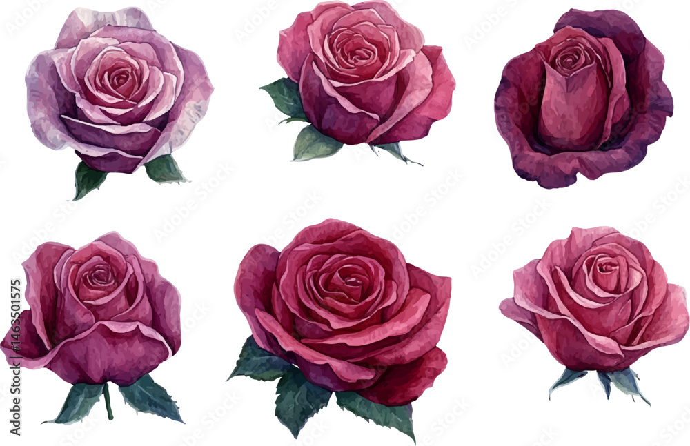 Naklejka premium set of red roses