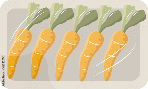 fresh yellow carrot in packaging ilustration