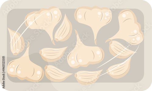 fresh garlic in packaging ilustration