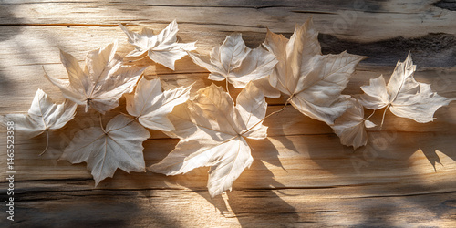 Sunlit Pale Leaves on Wooden Surface – Autumn Flatlay

