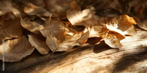 Obraz na płótnie Sunlit Pale Leaves on Wooden Surface – Autumn Flatlay
w salonie