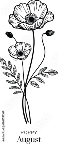 12 Birth month flowers including Carnation, Violet, Daffodil, Daisy, Lily of the Valley, Rose, Water Lily, Poppy, Aster, Cosmo, Chrysanthemum and Narcissus for printing. Vector flowers set collection.