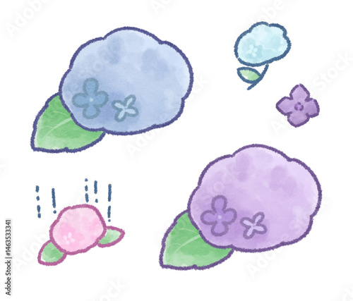 紫陽花 2色イラストセット
